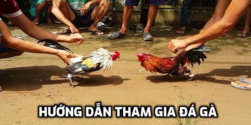 Hướng dẫn tham gia cá cược